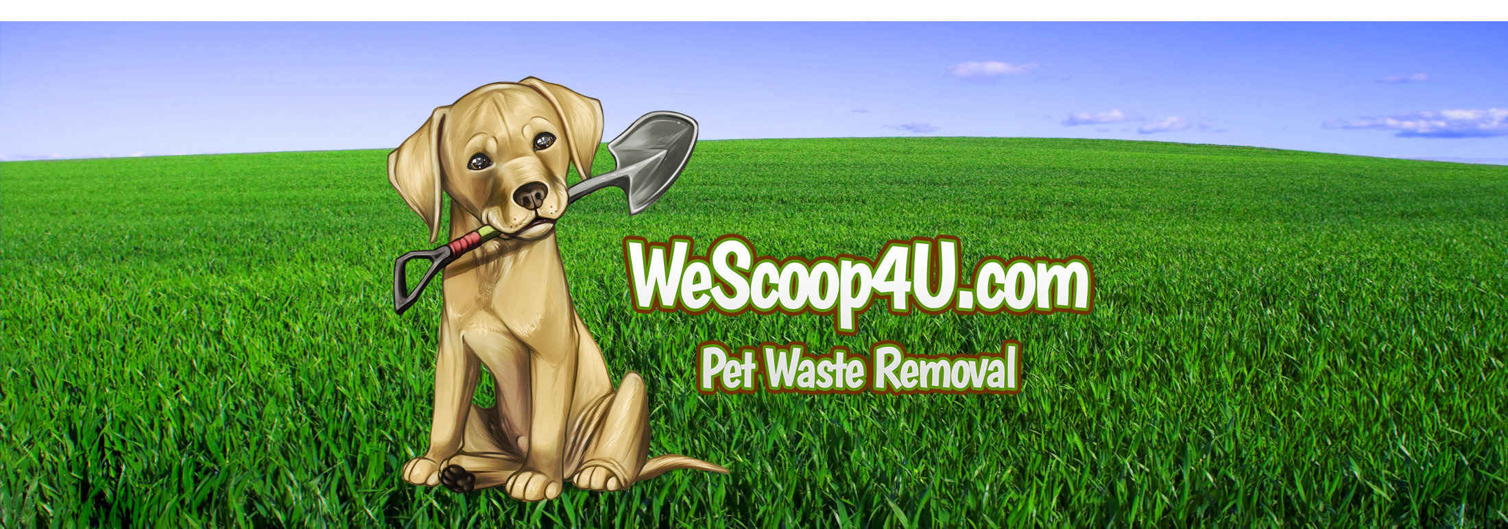dog waste clean up service